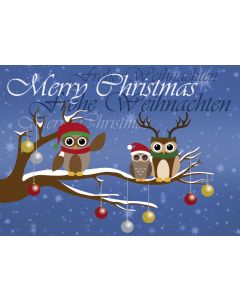 Postkarte Eulen auf Ast mit Weihnachtskugeln