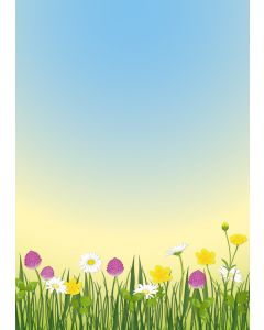schöne Blumenwiese
