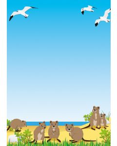 niedliche Quokkas