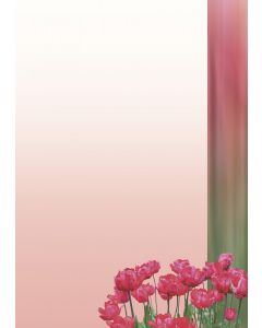 20 Blatt Motivpapier rote Tulpen DIN A4