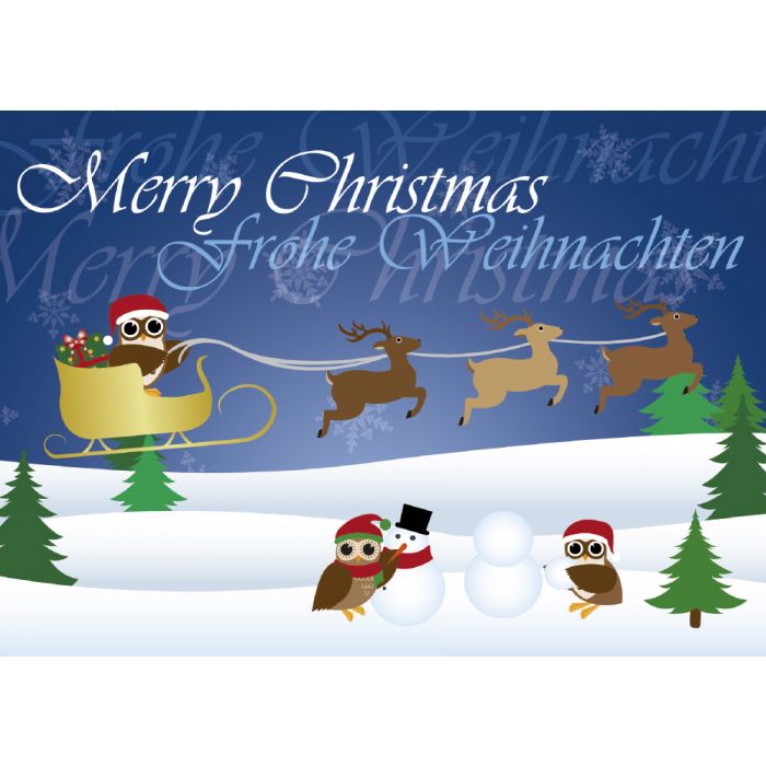 Postkarte Eule mit Rentierschlitten - Frohe Weihnachten Merry Christmas