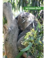 Postkarte "vermisse Dich!" - Koalabär