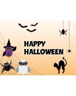 Postkarte Spider-Eulen "Happy Halloween"